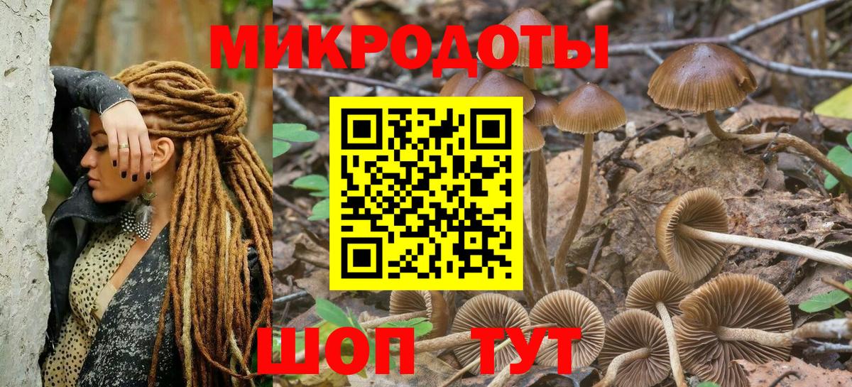 Галлюциногенные грибы мицелий  Псилоцибиновые грибы мухоморы  Вход с VPN  Вольск 