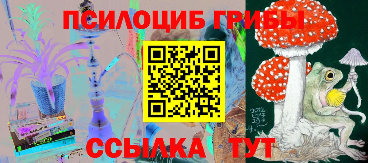 Галлюциногенные грибы MAGIC MUSHROOMS Вольск